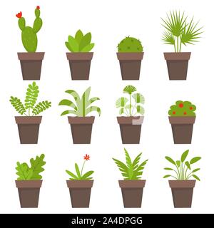 Potted plants and flowers icons. Cute house plants in flat style. Simple vector illustration Stock Vector