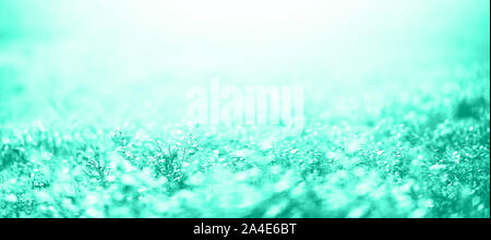 Blur leaves with bokeh, abstract background in mint color. Banner. Wild nature. Biscay Green color of the year 2020 Stock Photo