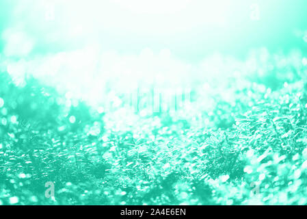 Blur leaves with bokeh, abstract background in mint color. Banner. Wild nature. Biscay Green color of the year 2020 Stock Photo