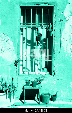Old mint painted house with cracked walls, wooden window and plants in trendy color. Pop art concept, retro style. Biscay Green color of the year 2020 Stock Photo