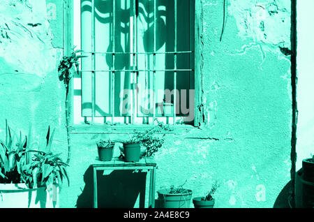 Old mint painted house with cracked walls, wooden window and plants in trendy color. Pop art concept, retro style. Biscay Green color of the year 2020 Stock Photo