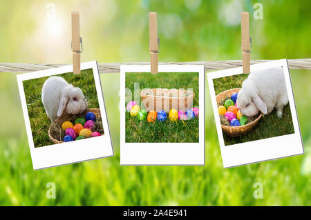 Easter collage photos Stock Photo