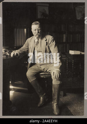 Theodore Roosevelt in his library at Oyster Bay Stock Photo