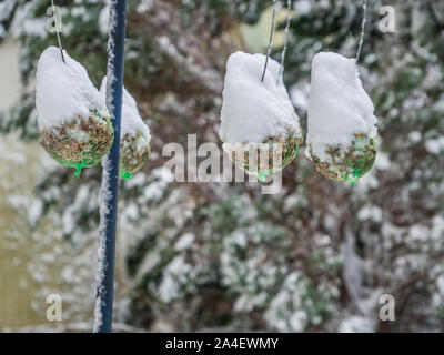 Food for birds in winter Stock Photo