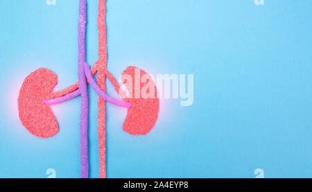 Human kidneys on a blue background. Human kidney disease concept, pyelonephritis, kidney stones, infection, copy space, inflammation Stock Photo