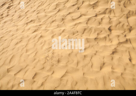 Wind blown sand, Thar desert of Rajasthan, India. Stock Photo