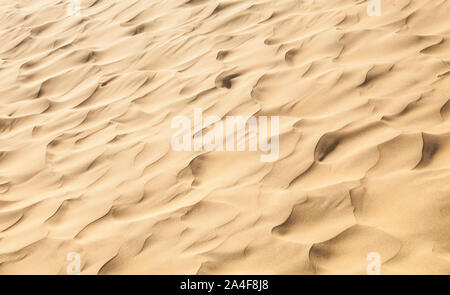 Wind blown sand, Thar desert of Rajasthan, India. Stock Photo