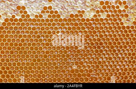 Abstract texture of net with hexagonal cells. Artistic detail of