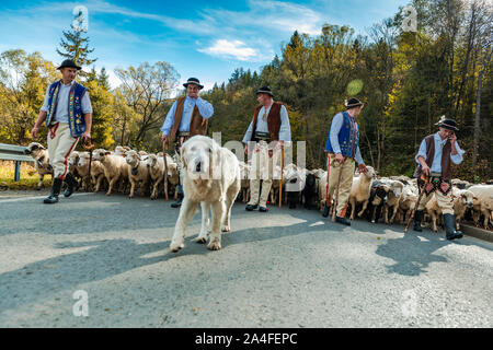 SZCZAWNICA,POLAND - OCTOBER 12, 2019: Traditional Carpathian Shepherds Leading Sheeps From Grazing in Mountains to Villages for Winter. Celebrating Tr Stock Photo