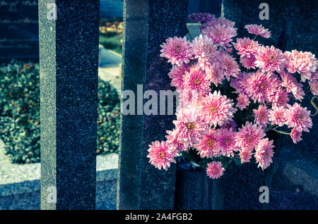 pink chrysanthemum flowers decoration in marble tombstone Stock Photo