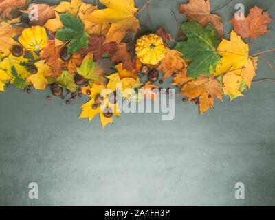 Autumn multicolored leaves foliage with pumpkins, acorns, chesnuts for Thanksgiving and fall holidays. Bottom border background with copy space, minim Stock Photo