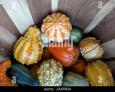 Decorative gourds offered in a wooden barrel before Halloween Stock Photo