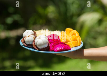 A girl in the green jungle is holding a plate with freshly cut and peeled tropical fruits. Stock Photo