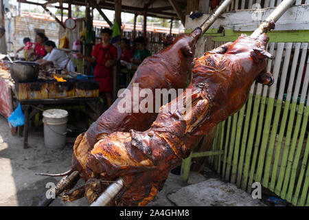 A whole spit roasted pig known as Lechon is a delicacy within the Philippines.Fiestas and birthdays are quite often celebrated with a whole Lechon set Stock Photo