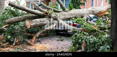 A car parked in the driveway has a tree fall on to it during a wind storm on Long Island. Stock Photo