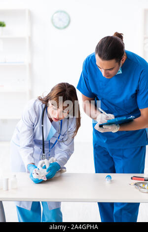 The two young vet doctors examining sick cat Stock Photo