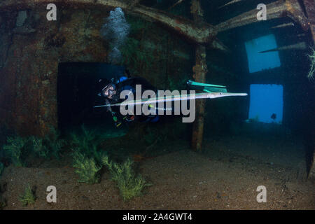 A scuba diver admires a reef cornetfish (Fistularia commersonii) inside the Fang Ming shipwreck near La Paz, Mexico.