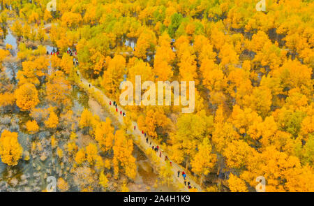 Gansu, Gansu, China. 15th Oct, 2019. GansuÃ¯Â¼Å'china-on October 13 