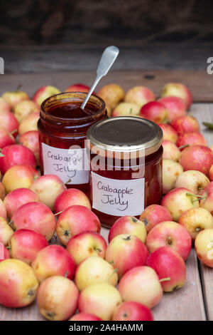 Malus ‘Jelly King’. Crab apple ‘Jelly King’ fruit and a jar of crab apple jelly Stock Photo