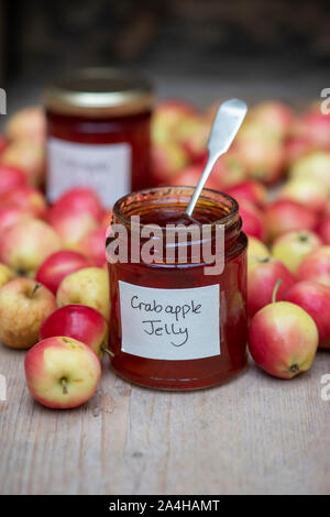 Malus ‘Jelly King’. Crab apple ‘Jelly King’ fruit and a jar of crab apple jelly Stock Photo