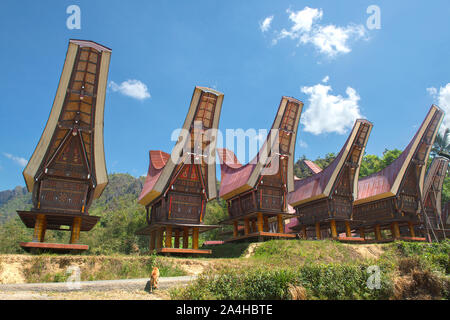 Traditional Alang rice barn, Rantepao, Tana Toraja, South Sulawesi, Indonesia . Alang houses have a distinguishing boat-shaped. Stock Photo