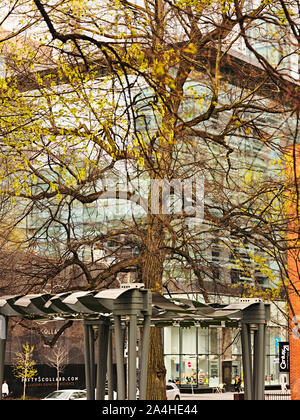 Jesse Ketchum Park, Toronto Stock Photo