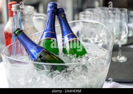 rose flowers ice cooled sparkling wine and champagne bottle in bucket on a party unlabeled textspace. Stock Photo