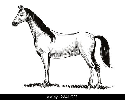 Horse racing. Ink black and white drawing Stock Photo - Alamy