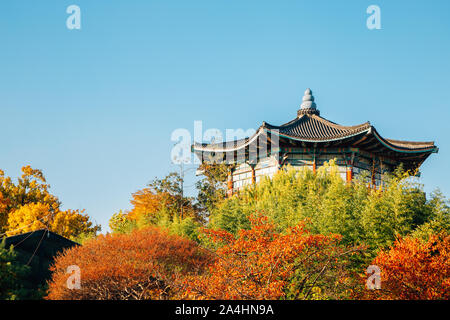 Korean traditional pavilion with autumn leaves at Children's Grand Park in Seoul, Korea Stock Photo
