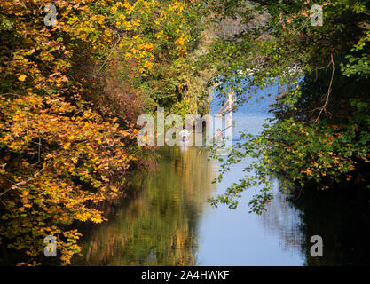 14 October 2019, Brandenburg, Schwielowsee/Ot Caputh: Two paddle boats sail on the water of the Wentorfgraben next to autumn-coloured trees. The artificial canal in the Potsdam-Mittelmark district connects Lake Petzin with Lake Schwielow. Photo: Soeren Stache/dpa-Zentralbild/ZB Stock Photo