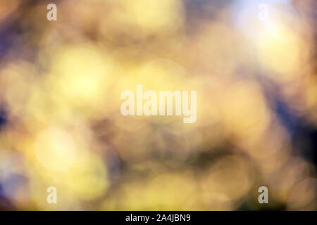 Autumn golden bokeh lights defocused lens flare abstract art background. Stock Photo
