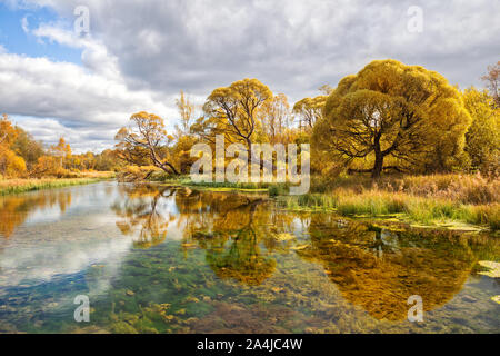 Picturesque autumn landscape. Yellow willows are reflected in the clear water of a small river. Izvarka River in the Leningrad Region, Russia Stock Photo