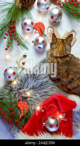 Cute Christmas holiday concept with small tortoiseshell tabby cat playing with baubles and decorations, overhead flat lay. Stock Photo