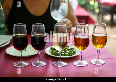 Sherry wine tasting, selection of different jerez fortified wines in glasses from dry to very sweet, Jerez de la Frontera, Andalusia, Spain Stock Photo