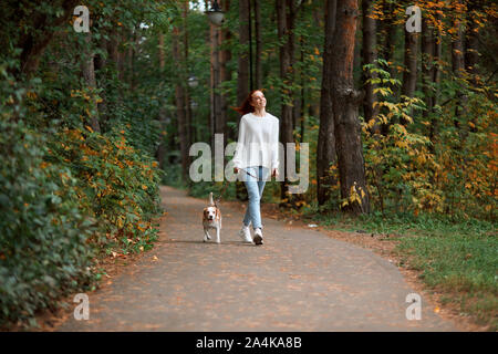 young ginger woman in white stylish sweater, jeans having a rest with her pet outdoors, full length photo Stock Photo
