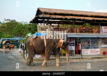 Chitwan National park Nepal South Asia Stock Photo