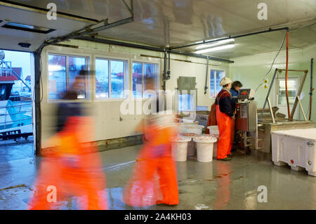 Fishing industry at RÂØst Stock Photo