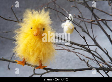Easter chicken Stock Photo