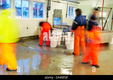 Fishing industry at RÂØst Stock Photo