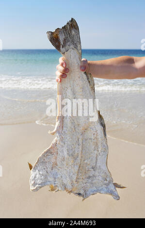 Dried cod at Blindheim on Vigra Stock Photo