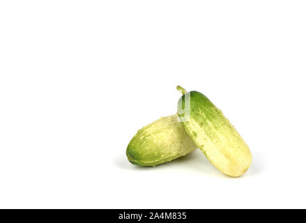 Cucumbers. Two organic small cucumbers isolated on white background. Cucumbers for cocktail. Stock Photo