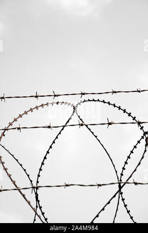 Barbed Wire Against Grey Sky Stock Photo