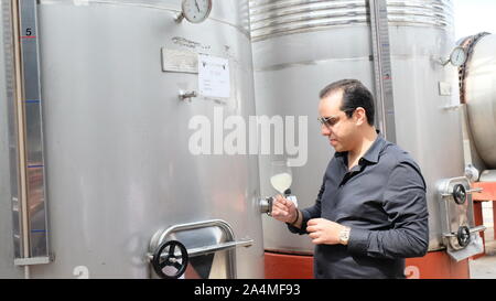 Rommani, Morocco. 11th Oct, 2019. Mamoun Sayah, general manager of Morocco's agricultural company Red Farm, checks the white wine in Rommani, Morocco, Oct. 11, 2019. As Chinese consumers are looking for high-quality imported goods, China International Import Expo (CIIE) is undoubtedly a rare opportunity for Moroccan companies interested in expanding their exports, said Mamoun Sayah, general manager of Morocco's agricultural company Red Farm.TO GO WITH 'Feature: Moroccan winery aims to expand Chinese market via 2nd import expo in Shanghai' Credit: Chen Binjie/Xinhua/Alamy Live News Stock Photo