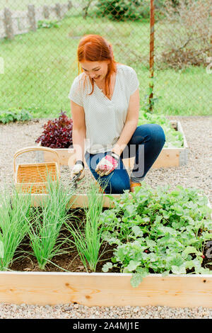 Woman working in garden Stock Photo