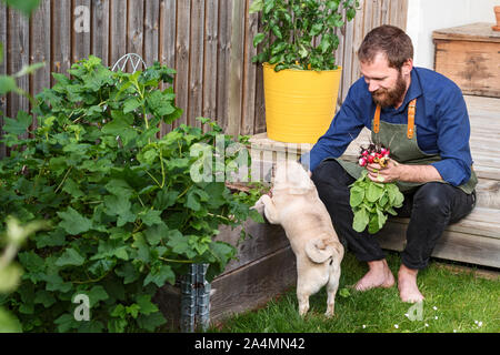 Man in garden Stock Photo