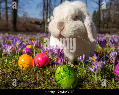 Happy Easter nature Stock Photo