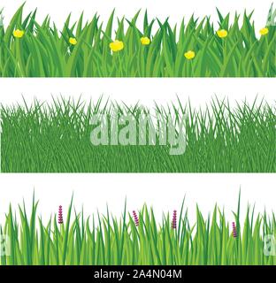 Green spring grass. Vector. Stock Vector