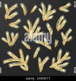 Set of Fir Branches Stock Vector