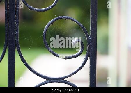 Wet Spiderweb on an iron gate Stock Photo