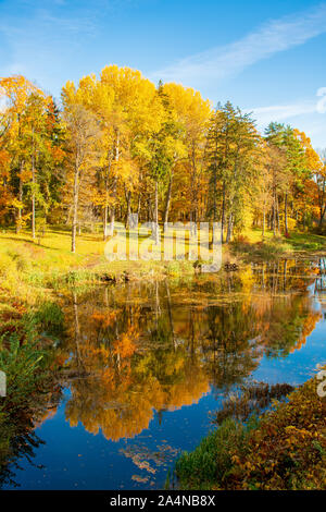 Wonderful autumn landscape with beautiful yellow and orange colored trees, lake or river, vertical Stock Photo